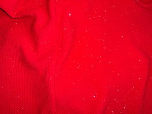 PRETTIEST GLITTER TOP