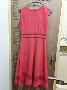 Coral Mesh Panel Fit & Flare Dress