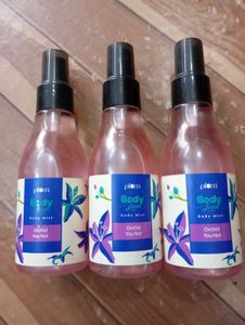 Plum orchid you not Body Mist - 3 Pack