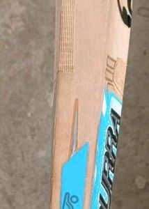cricket bat