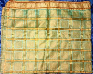 Mint Green &amp; Golden Sari Tissue Saree Ethnic Wear