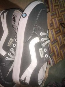 shoe