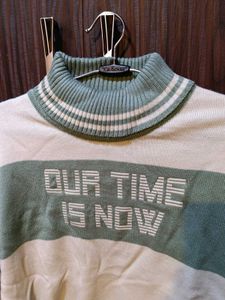 Roadster Striped Turtleneck Sweater