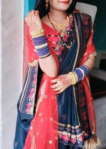 Elegant Indian Saree