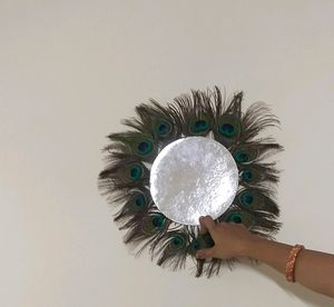 Peacock Feather Wall Decorative Item Use In Photo