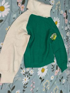 Chic Colorblock Turtleneck Sweater