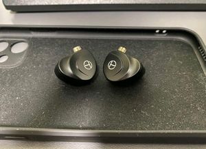 Big Dawg! TRN V90s With 12 Speakers! IEM