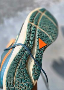 Nike Zoom Pegasus 39 shield