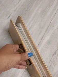 Ted Baker Clutch