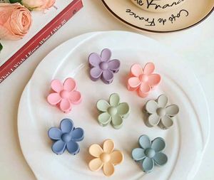 🎀Cute Pastel Hair Claw Clips🎀