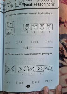 Visual Reasoning Mind Joggling Puzzles