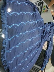 Beautiful Blue Embellished Dupatta