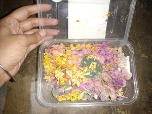dried flowers for resin art and candles making