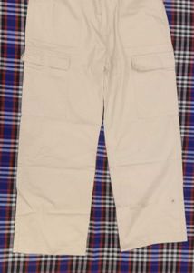 beige Cargo Pants