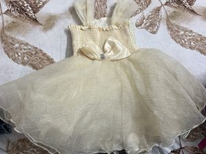Party Wear Frock