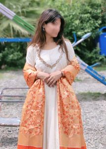 Elegant Embroidered Dress