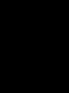 CC1