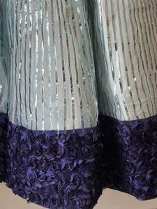 Sparkling Blue Skirt with Embellished Border