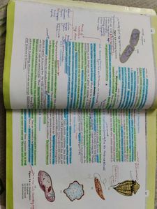 Biology Textbook for Class XI