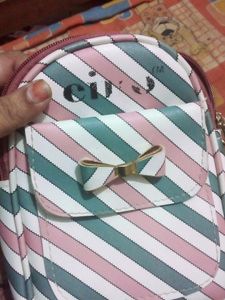 Small And Trendy Sling Bag