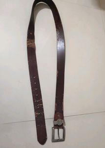 Timberland Belt