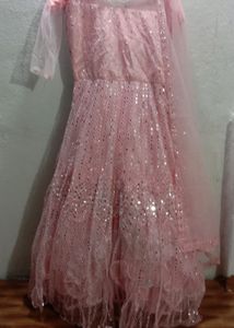 Heavy Mirror Work Gown