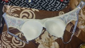 UL50 Women's Under-Wired Padded Super Combed Cotto