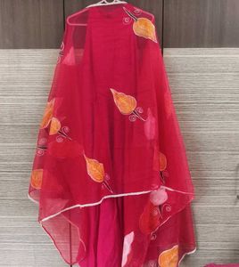 Rani Hand Painted Dupatta Suit Set