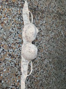 new padded bra