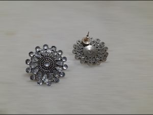 Sliver Polish Light Weight Matte Finish Earning