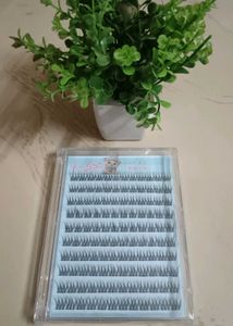 🇰🇷 Glue-Free False Eyelashes