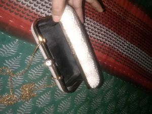 Elegant Beaded Clutch Purse