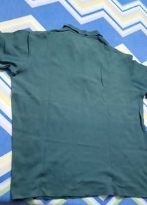 Calvin Klein Green Polo Shirt (4XL)