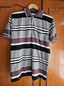 Striped Polo T-Shirt
