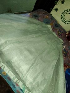 Stunning Mint Green Lehenga Choli