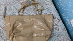 Chic Beige Hobo Aldo Bag