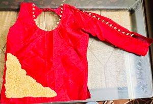 Embroidered Lehenga Choli