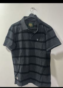 Striped Polo T Shirt