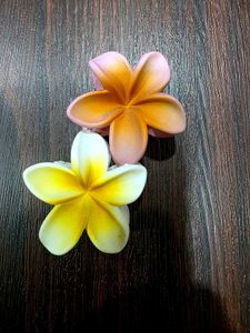 Plumeria Flower Matte Hair Clips - Set of 2