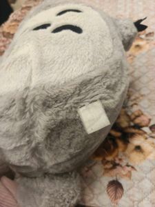 totoro