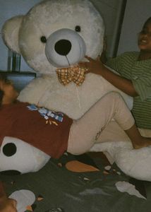 new taddy bear