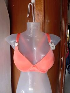 Coral Padded Underwire Bra