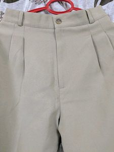 Beige Pleated Trousers - Classic Style