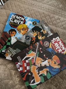 Demon Slayer Manga Volumes 1,2,3