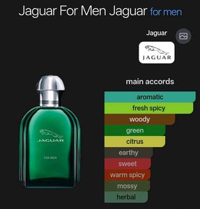 Jaguar for Men Eau de Toilette 100ml