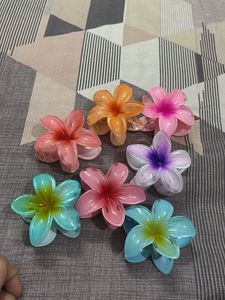 Pinterest Hair Clips Set Of 7