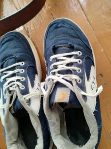 Blue Coasters Sneakers | Shoes