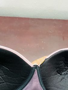 Cotton Rich Padded non-wired Push-Up Bra