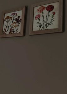 Set of 2 Botanical Framed Prints