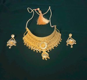 Exquisite Gold Necklace and Earring Set